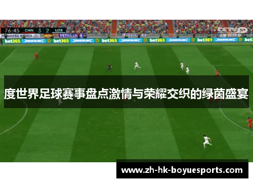 度世界足球赛事盘点激情与荣耀交织的绿茵盛宴