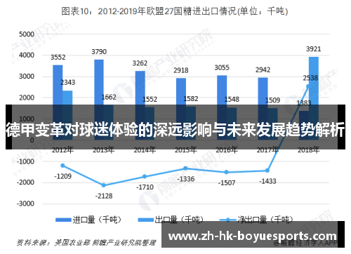 德甲变革对球迷体验的深远影响与未来发展趋势解析