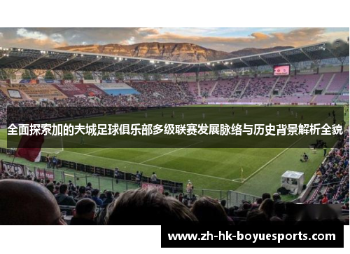 全面探索加的夫城足球俱乐部多级联赛发展脉络与历史背景解析全貌