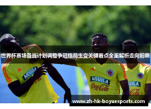 世界杯赛场备战计划调整争冠格局生变关键看点全面解析走向前瞻