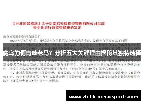 魔鸟为何青睐老马？分析五大关键理由揭秘其独特选择