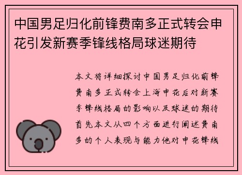 中国男足归化前锋费南多正式转会申花引发新赛季锋线格局球迷期待